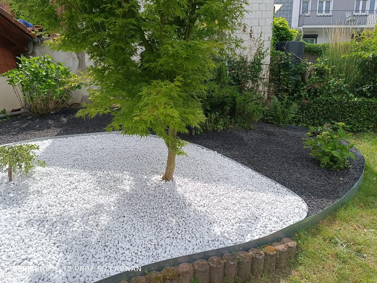 Neu angelegtes Kiesbeet mit Ahorn und sauberer Mulchkante
