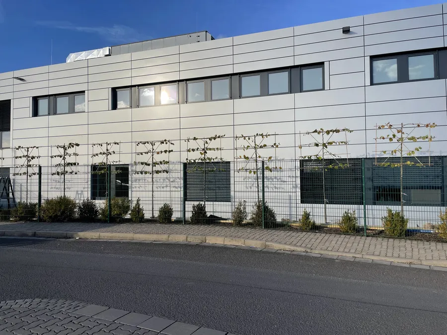 Fertiger Pflanzstreifen entlang der Gewerbehalle mit Spalierbäumen