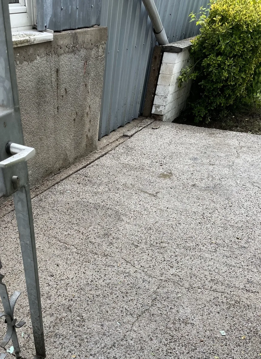 Dieselbe Fläche nach der Reinigung, gleichmäßig hell und moosfrei