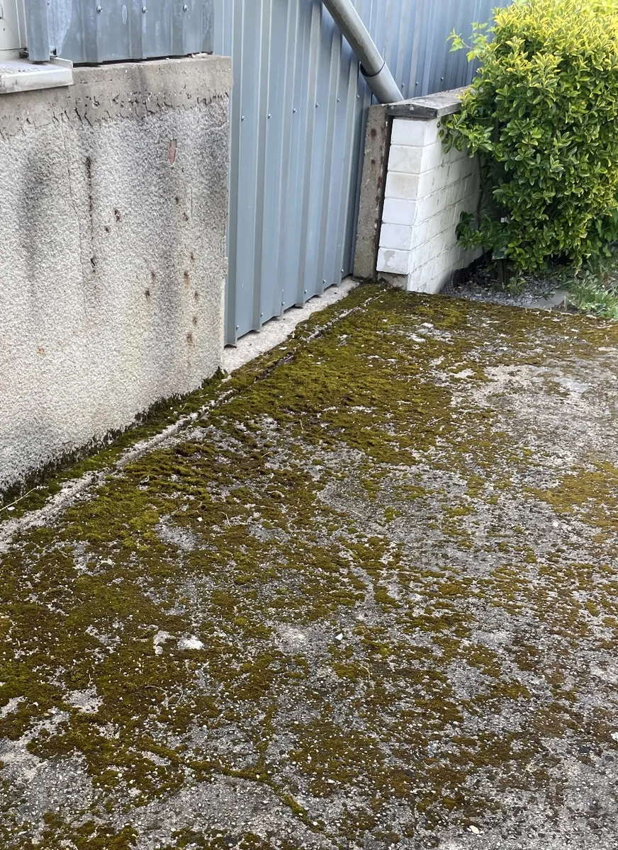 Stark vermooste Fläche zwischen Betonmauer und Blechwand vor der Reinigung